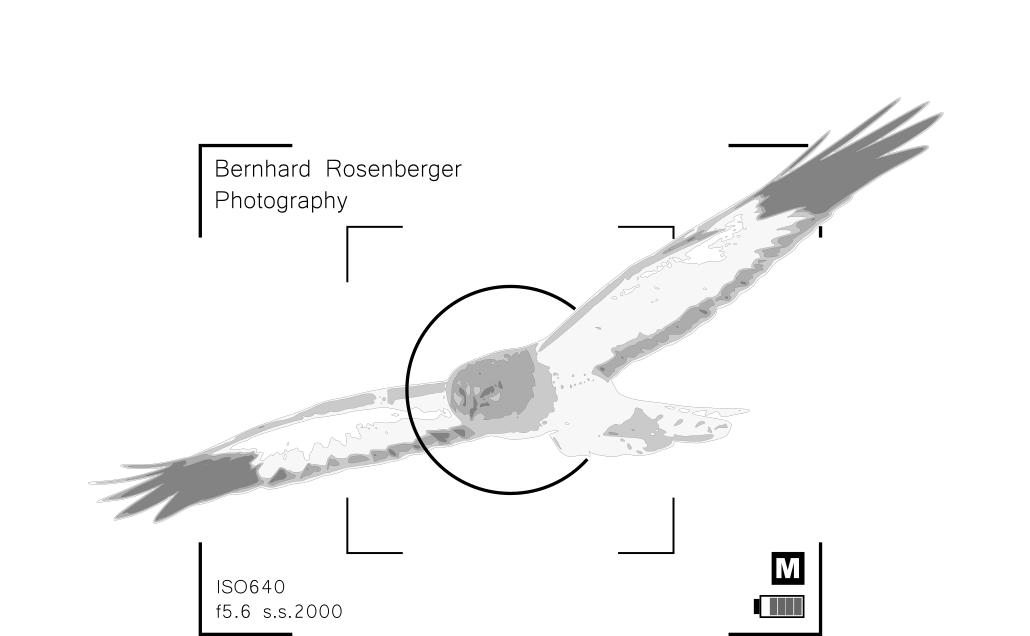 Bernhard Rosenberger Photography